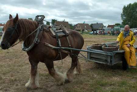 Online fotogalerie