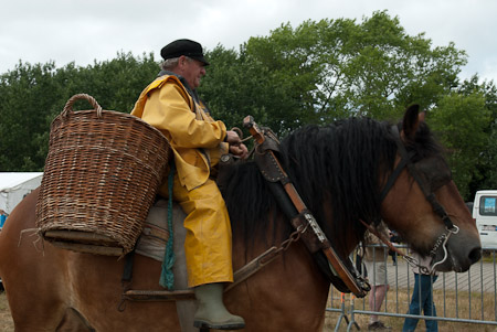 Online fotogalerie
