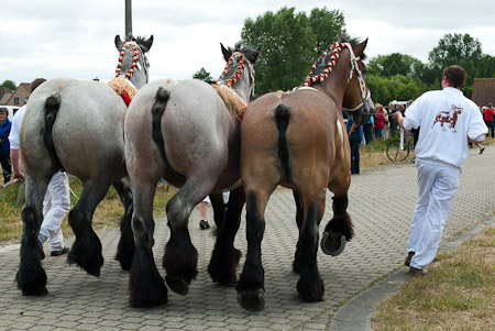 Online fotogalerie