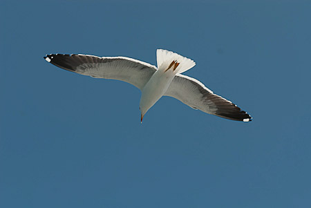 Online fotogalerie
