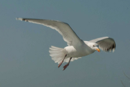 Online fotogalerie